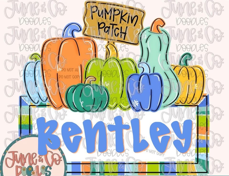 Pumpkin Patch DTF Shirt - Kids&Youth - Boy/Girl